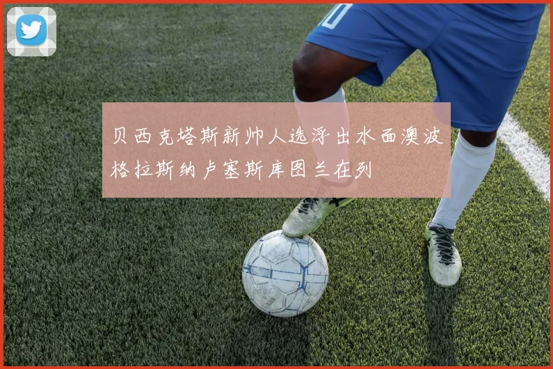 贝西克塔斯新帅人选浮出水面澳波格拉斯纳卢塞斯库图兰在列