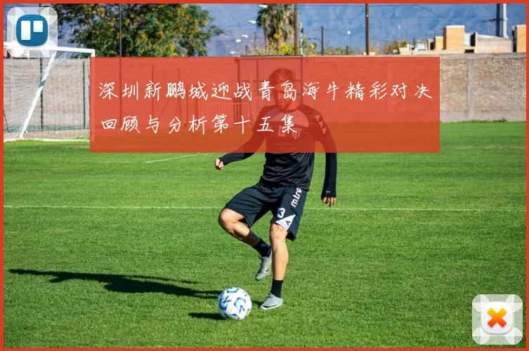 深圳新鹏城迎战青岛海牛精彩对决回顾与分析第十五集
