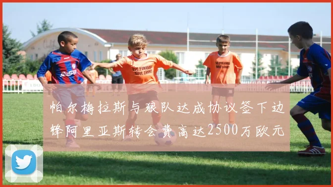帕尔梅拉斯与狼队达成协议签下边锋阿里亚斯转会费高达2500万欧元